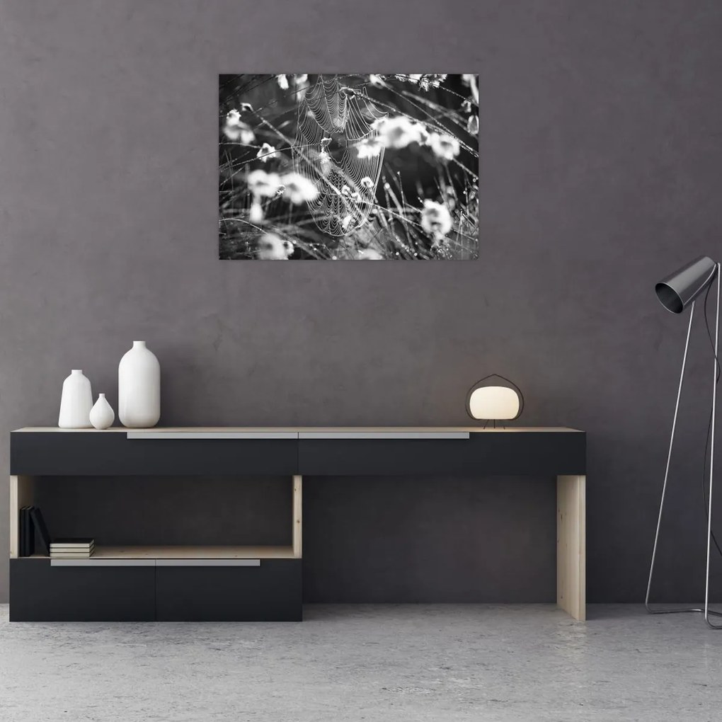 Obraz - Pavučina na lúke (70x50 cm)
