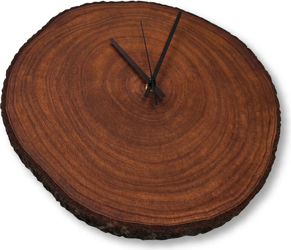 Nástenné hodiny z plátu dreva s letokruhmi a kôrou | KOR: Amber - 3072 26-29 cm 4801-115567 KOR001-29-AMBER