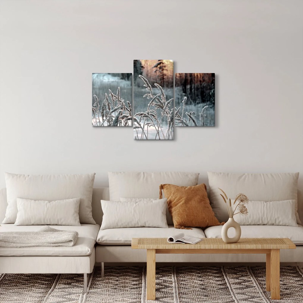 Obraz - Zamrznutá lúka (90x60 cm)