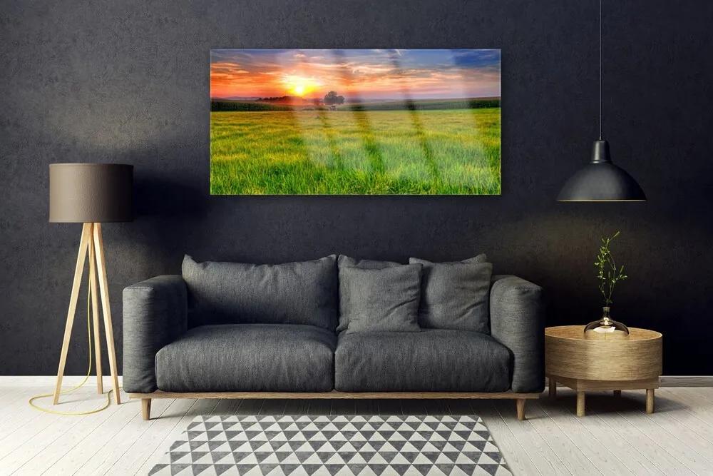 Obraz plexi Lúka slnko príroda 120x60 cm