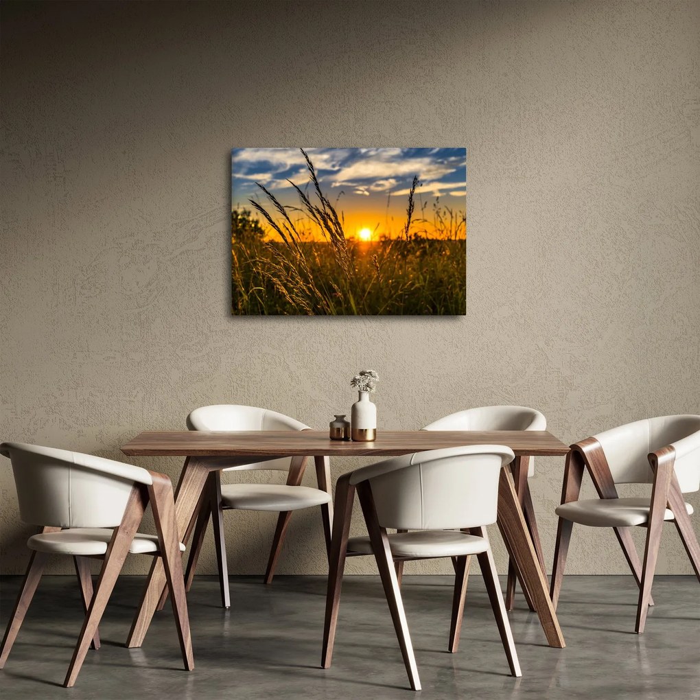 Obraz pole pri západe slnka (70x50 cm)