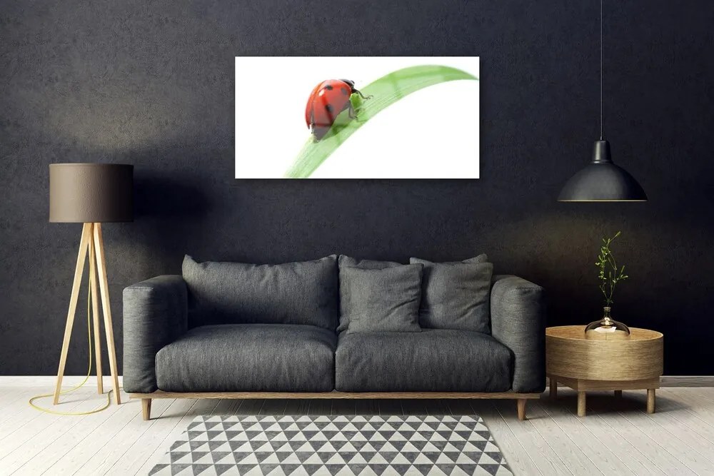 Skleneny obraz Lienka list príroda 125x50 cm