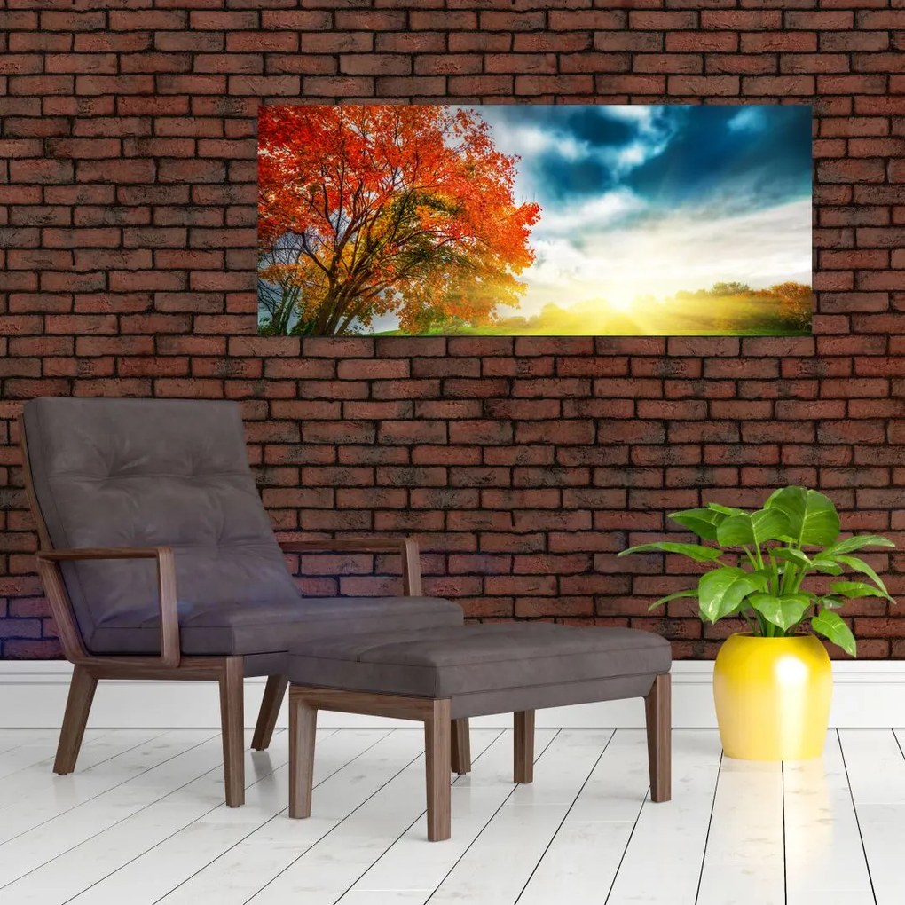 Obraz krajiny zaliate slnečným svitom (120x50 cm)