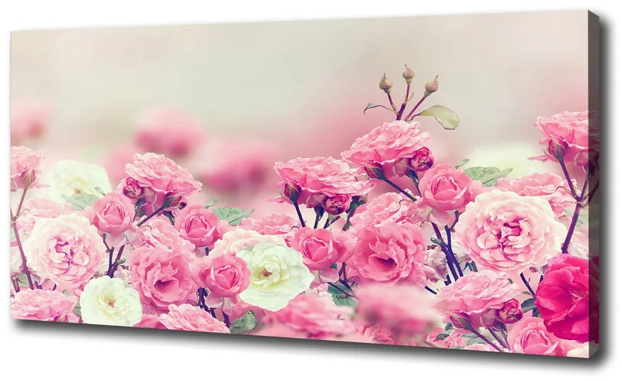 Moderný fotoobraz canvas na ráme Kvety divokej ruže pl-oc-100x50-f-84071229
