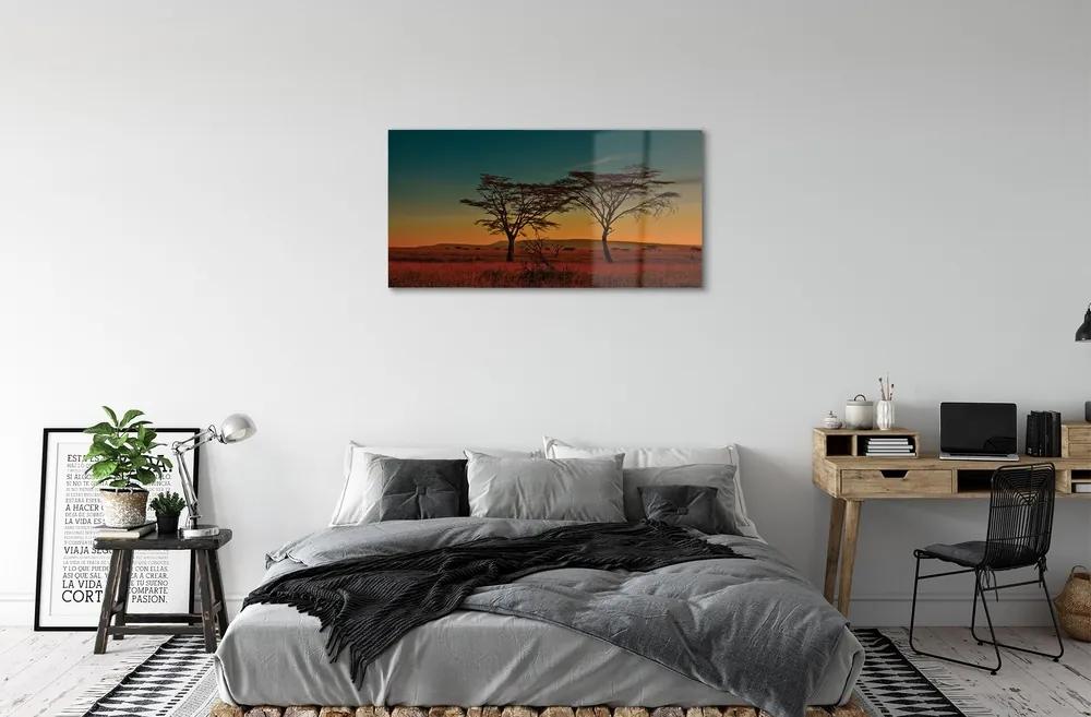 Obraz na skle oblohy stromu 100x50 cm