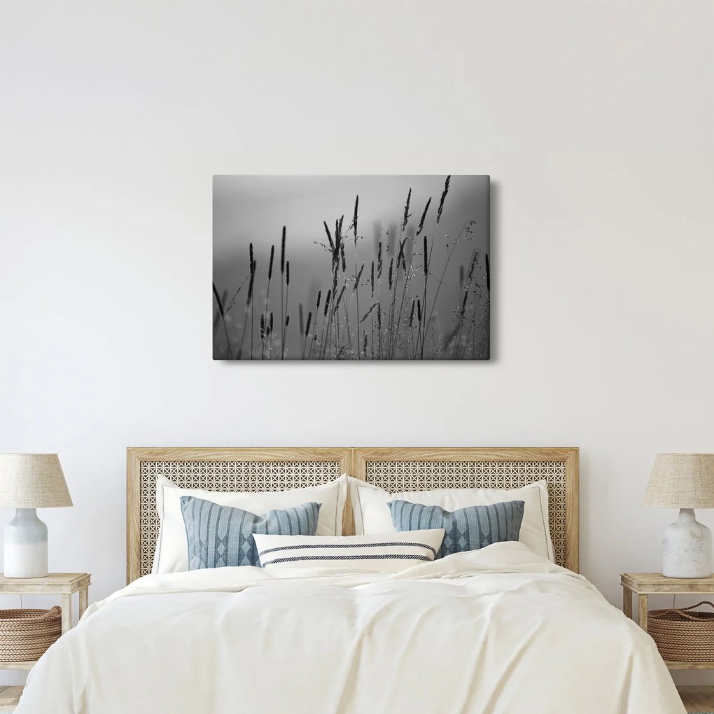 Obraz - Steblá trávy (90x60 cm)