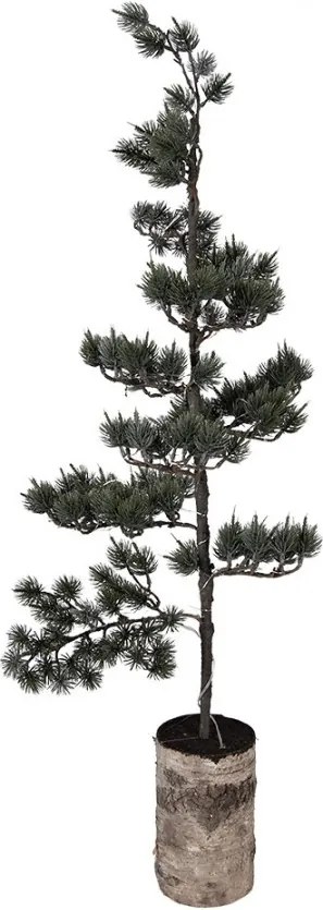 Dekoratívny svietiaci ihličnatý stromček na podstavci Bonsai Tree LED M - 30*35*100 cm / 3*AAA