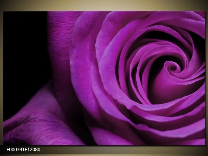 Obraz na plátne Fialová ruža, Obdĺžnik 120x80cm 87,92 €
