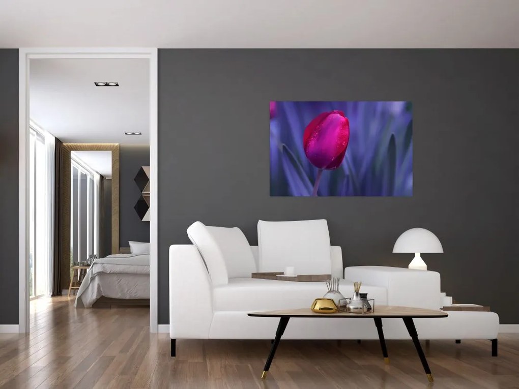 Obraz pupete tulipánu (90x60 cm)