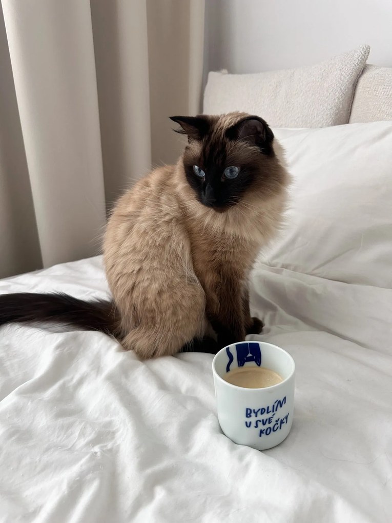 Bella Rose Porcelánový hrnček Bydlím u své kočky 270 ml