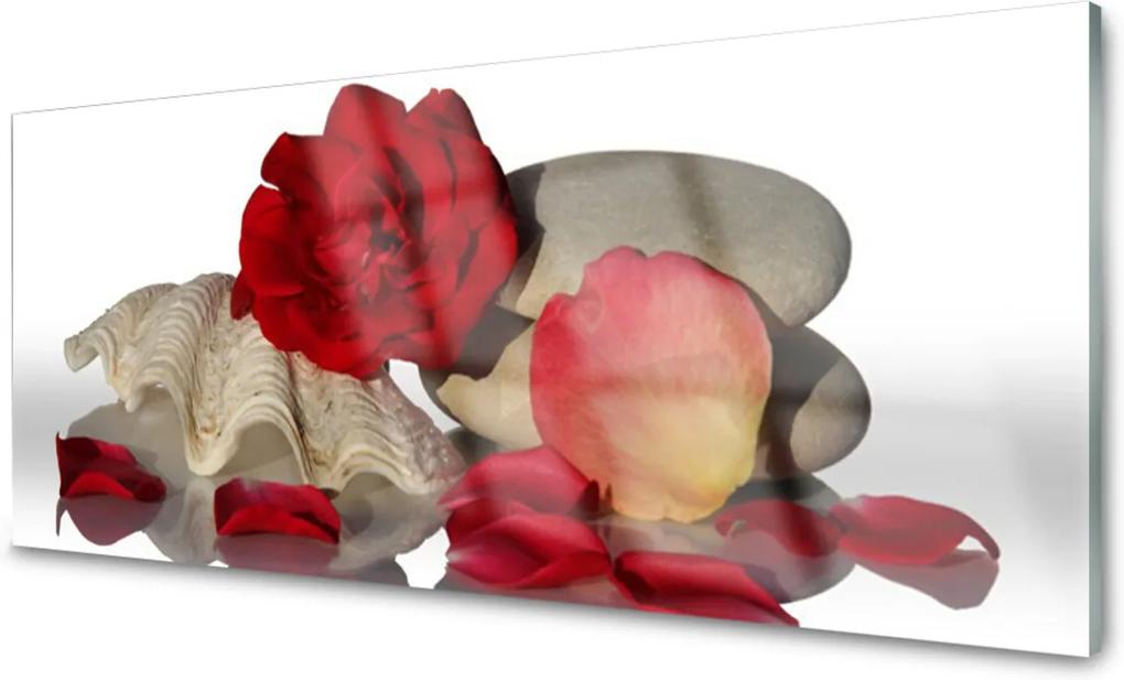 Obraz plexi Ruže Plátky Mŕtva Príroda
