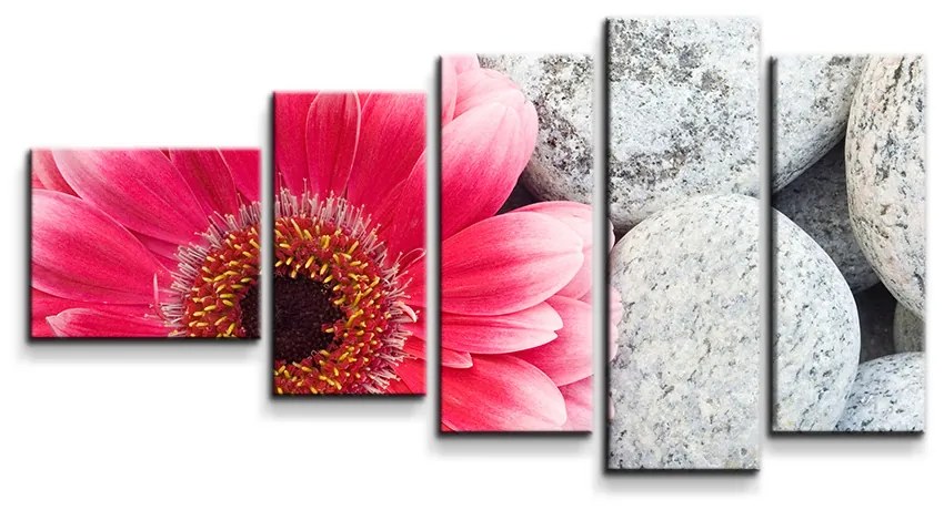 Sablio Obraz - 5-dílný Gerbera na kameňoch - 100x60 cm