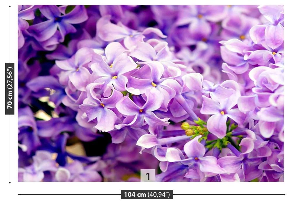 Fototapeta Vliesová Fialové kvety 416x254 cm