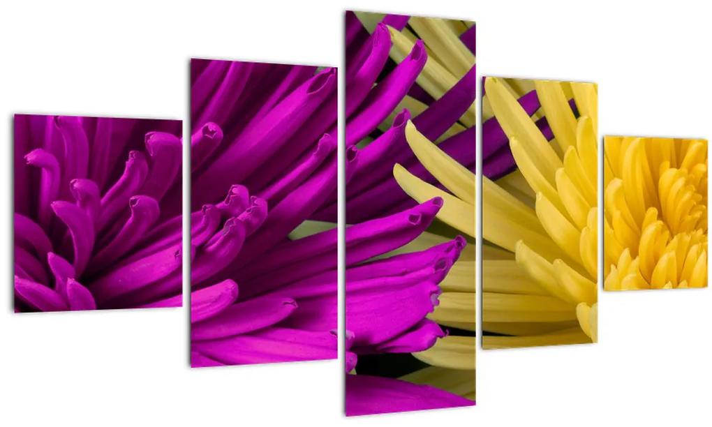 Obraz - detail kvetov (125x70 cm), 40 ďalších rozmerov
