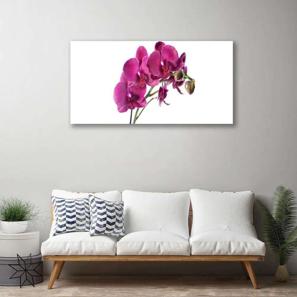 Obraz Canvas Orchidea kvety príroda 120x60 cm