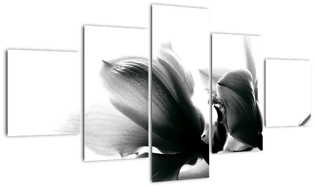 Obraz čiernobielych kvetov