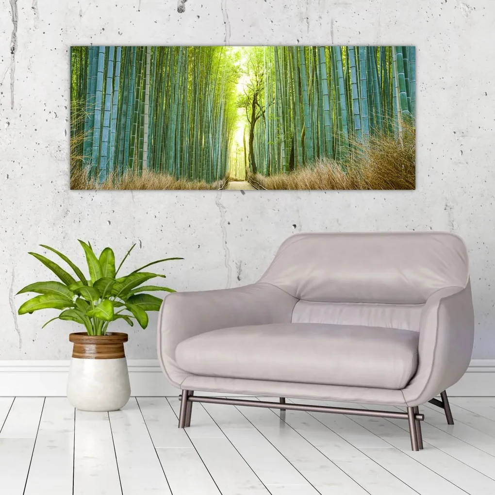 Obraz - Bambusový les (120x50 cm)