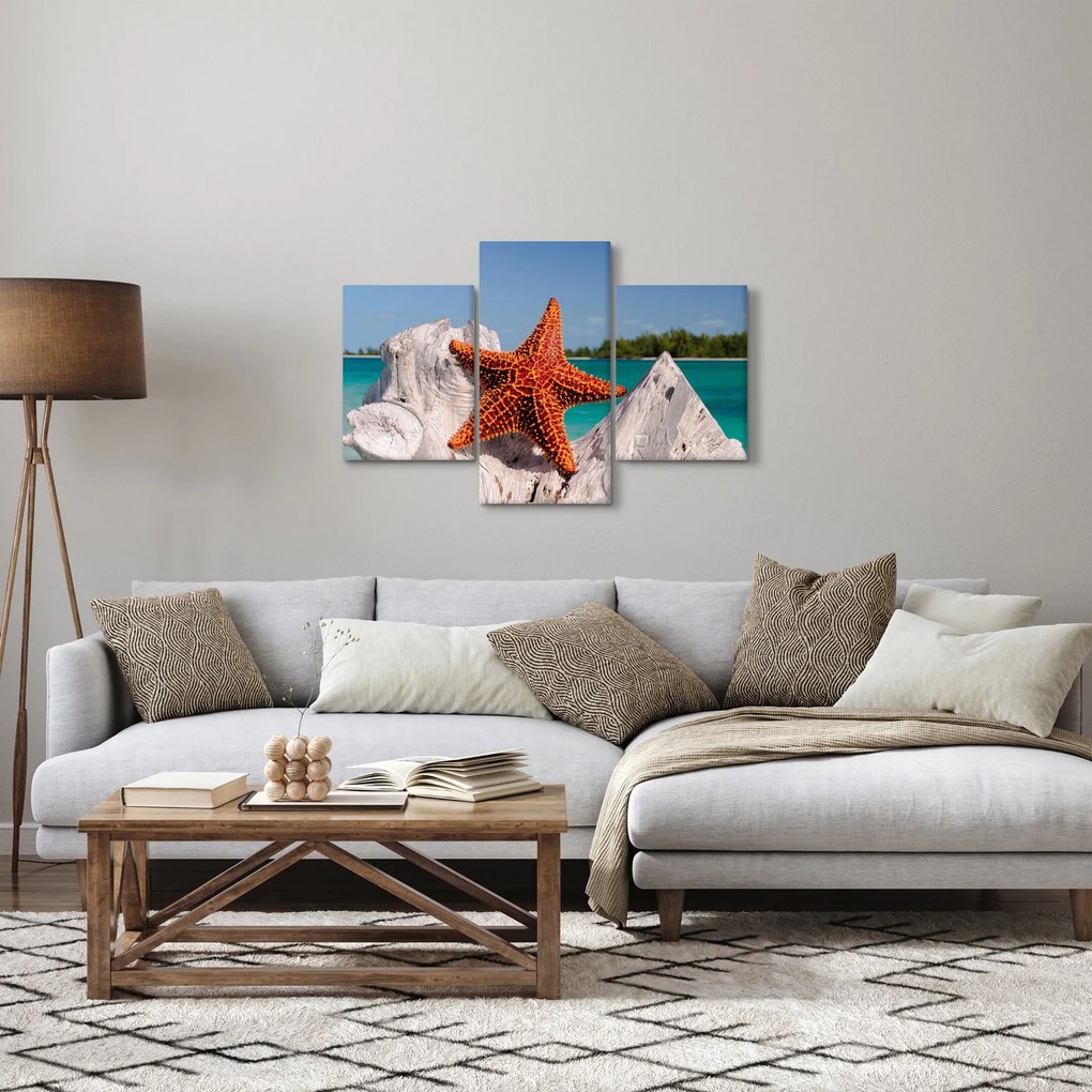 Obraz morskej hviezdice (90x60 cm)