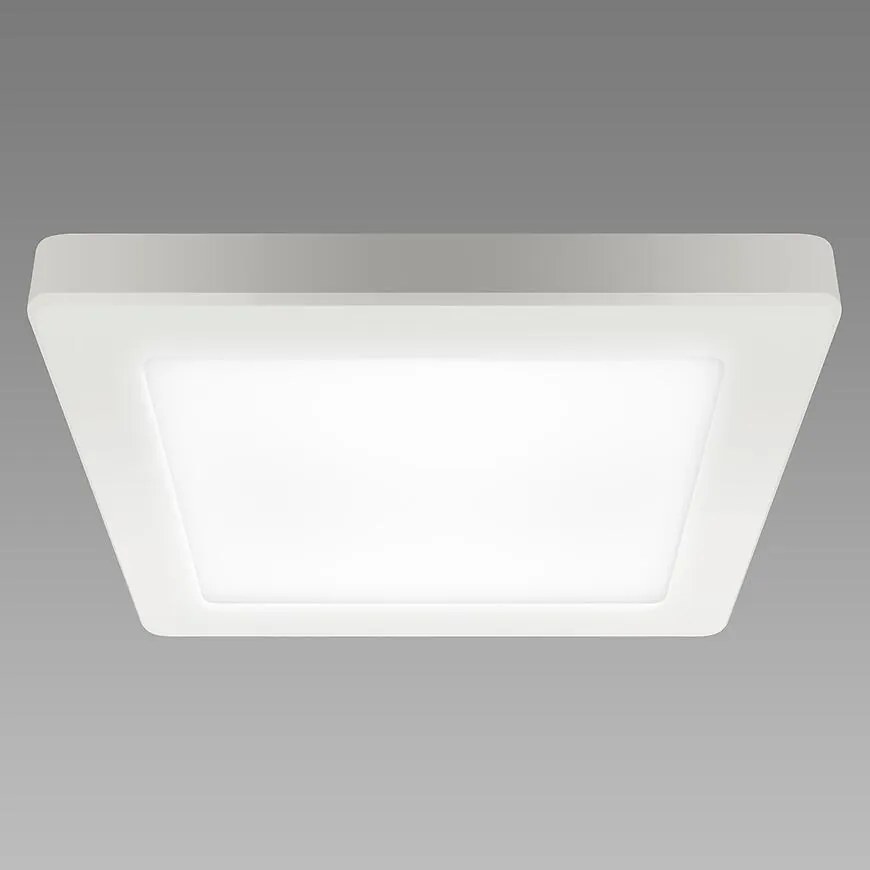 Stropné svietidlo OLGA LED D 24W WHITE CCT 04063 PL1