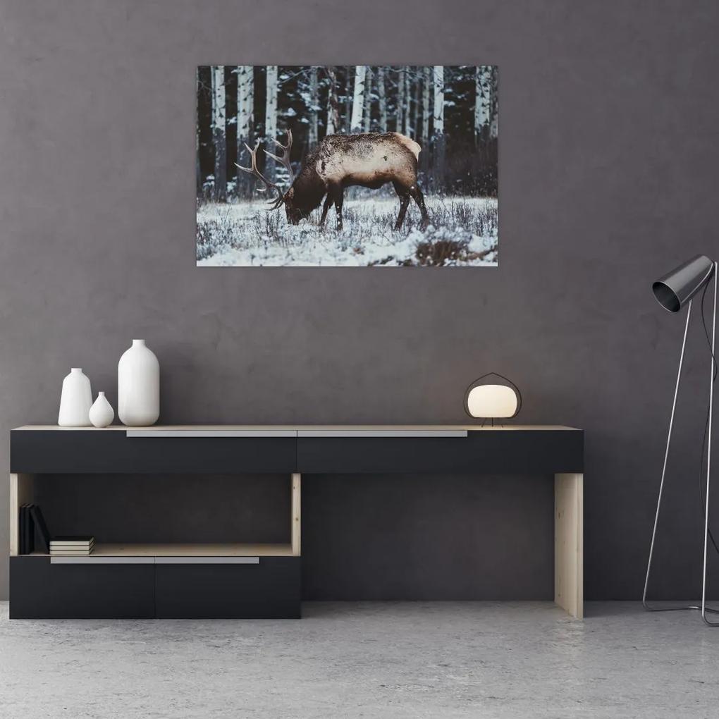 Obraz - jeleň v zime (90x60 cm)