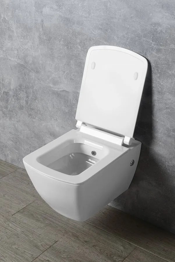 Isvea Isvea, PURITY WC sedátko, SLIM, Soft Close, biela, 40S80200I