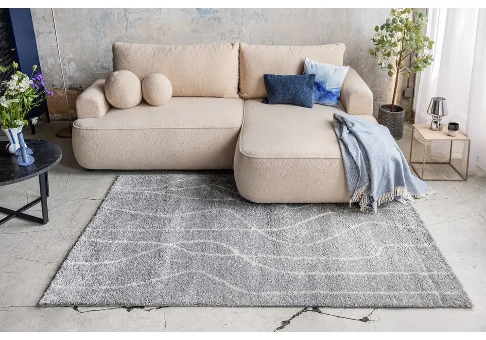 Sivý koberec 160x230 cm Routa – Universal