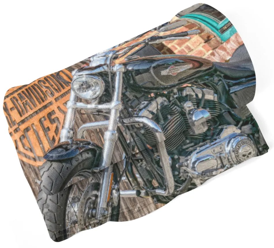 Sablio Deka Harley-Davidson 3 - 150x120 cm