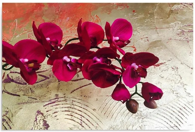 Obraz CARO - Orchids 10 40x30 cm
