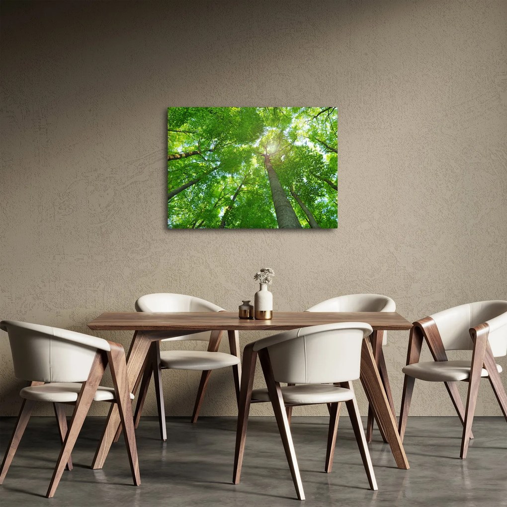 Obraz - Les (70x50 cm)