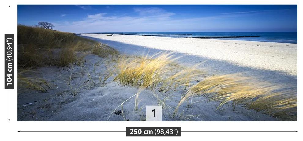 Fototapeta Vliesová Morská pláž 208x146 cm