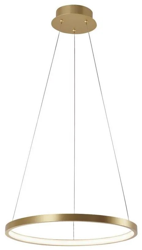 Leuchten Direkt 11522-12 - LED Luster na lanku CIRCLE LED/19W/230V