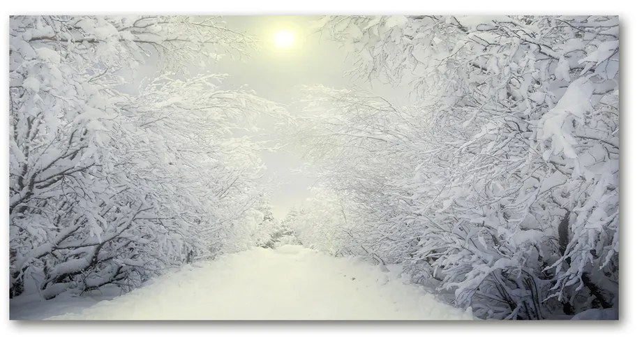 Foto obraz akrylové sklo Pekný zimný les pl-oa-140x70-f-103882841