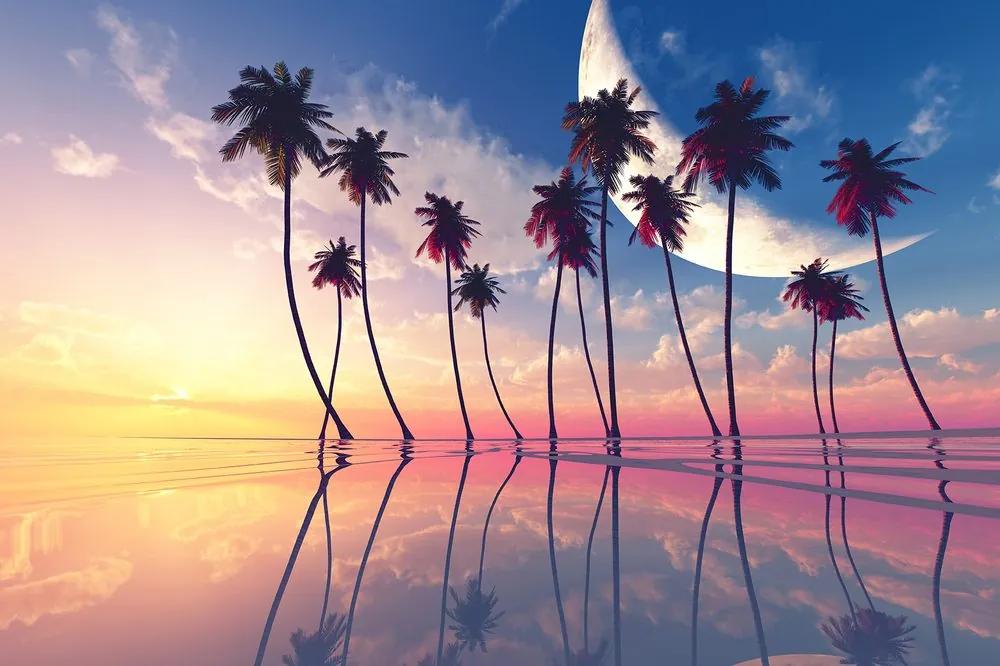 Samolepiaca tapeta exotické palmy pri zapadajúcom slnku