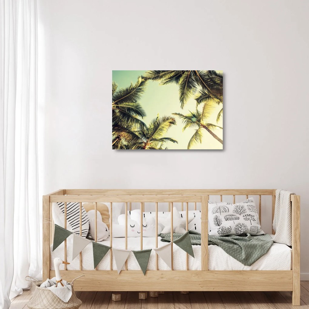 Sklenený obraz s kokosovými palmami (70x50 cm)