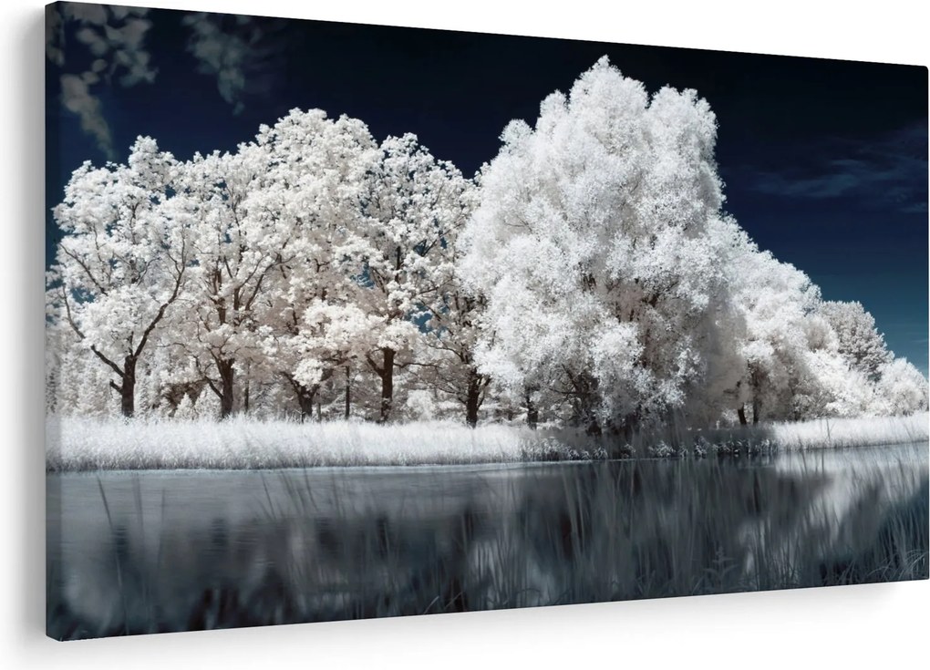Obraz - Snehobiele stromy (90x60 cm)
