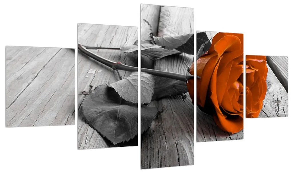 Obraz oranžovej ruže (K011139K12570)
