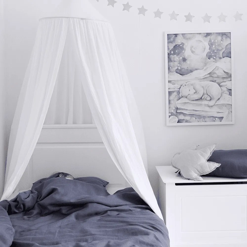 Plagát medveď 50x70cm