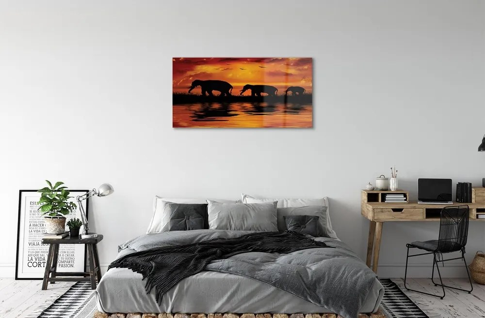 Obraz na skle slony West Lake 100x50 cm