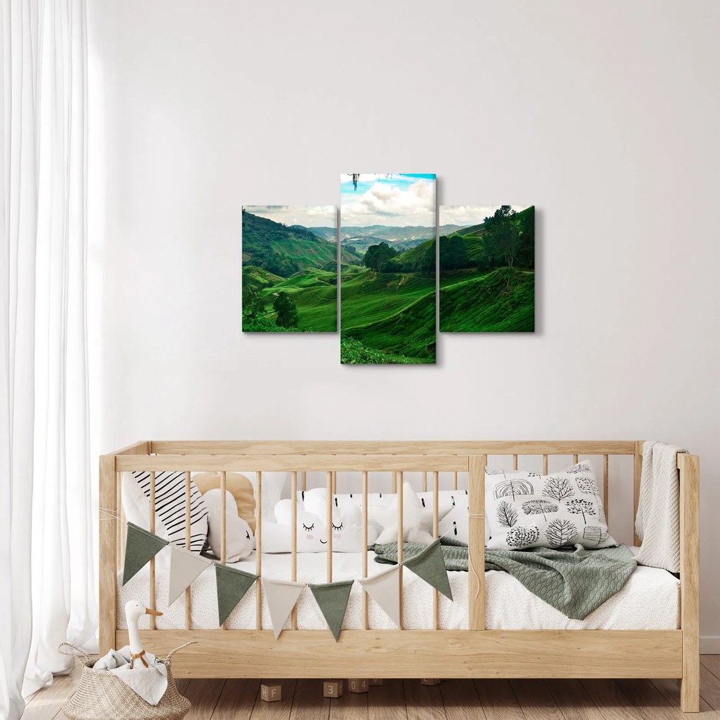 Obraz - Čajové plantáže v Malajzii (90x60 cm)