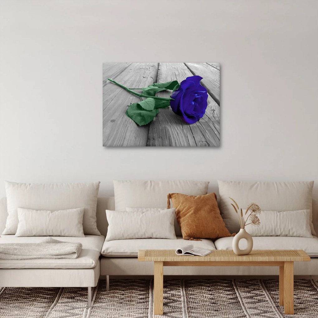 Obraz - Modrá ruža so zelenou stonkou (70x50 cm)