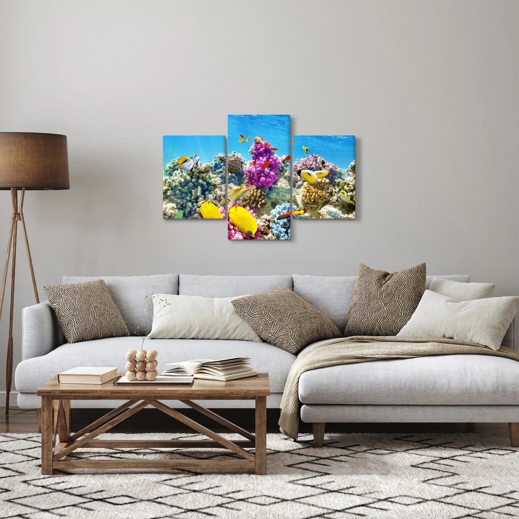 Obraz - Morský svet (90x60 cm)
