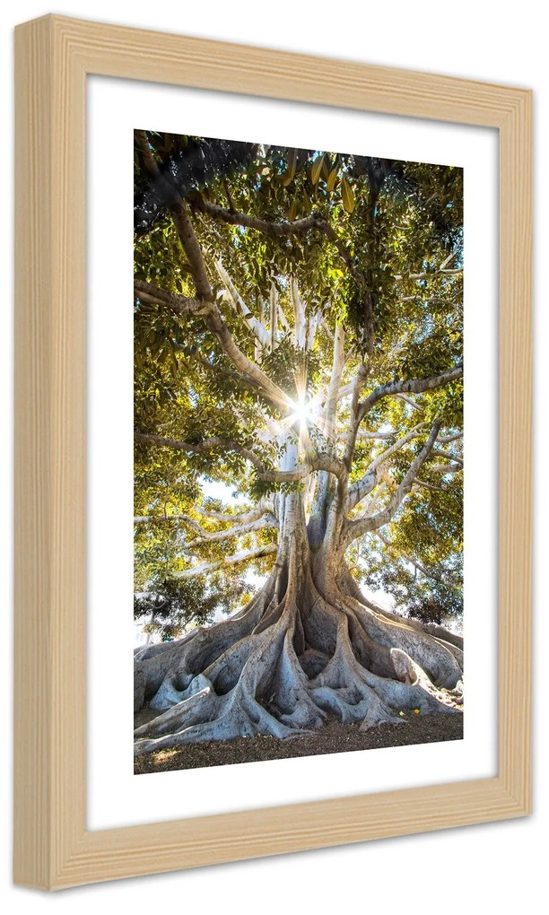 Gario Plagát Veľký exotický strom Farba rámu: Čierna, Rozmery: 60 x 90 cm
