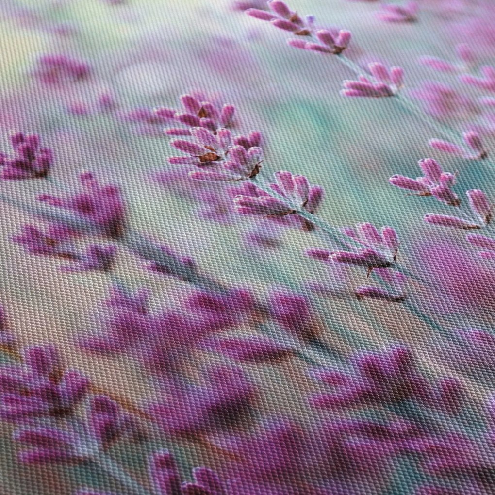 Obraz - Levanduľa (120x50 cm)