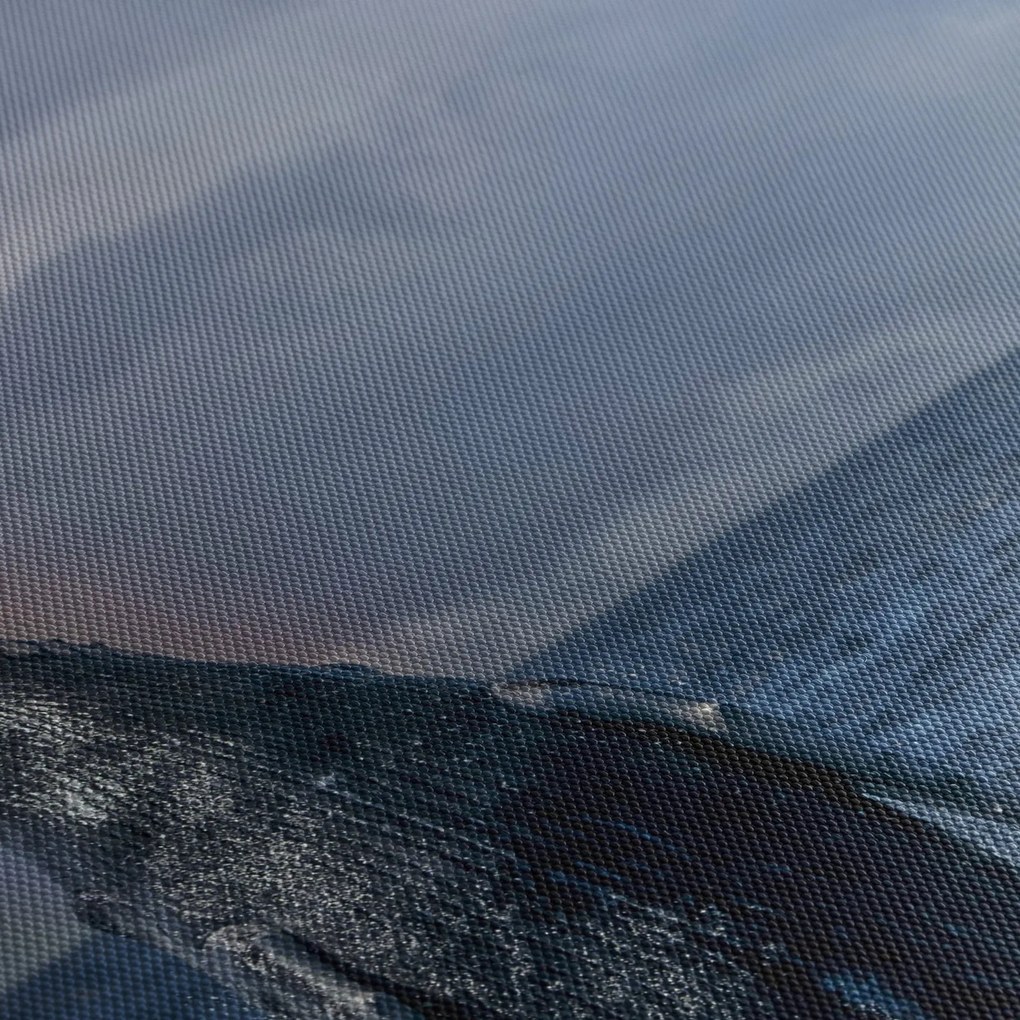 Obraz - Keporkak (120x50 cm)