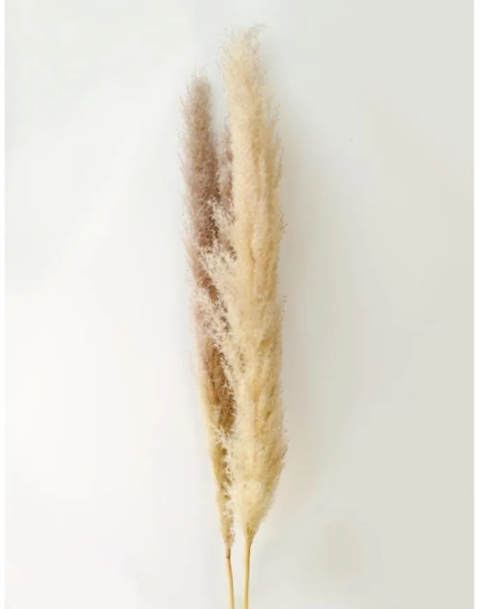 Umelá pampová tráva 150 cm