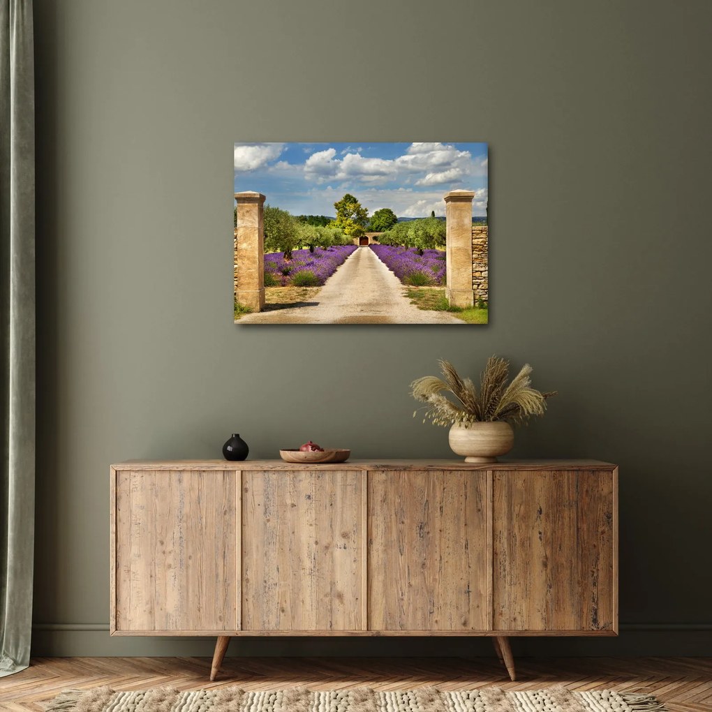 Obraz - Levanduľové cesty (70x50 cm)