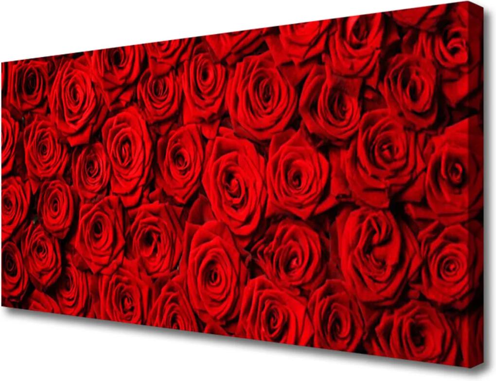 Obraz na plátně sklenený Ruže