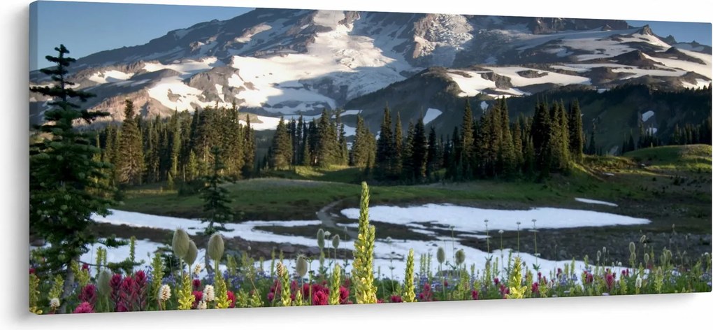 Obraz - Mount Rainier (120x50 cm)