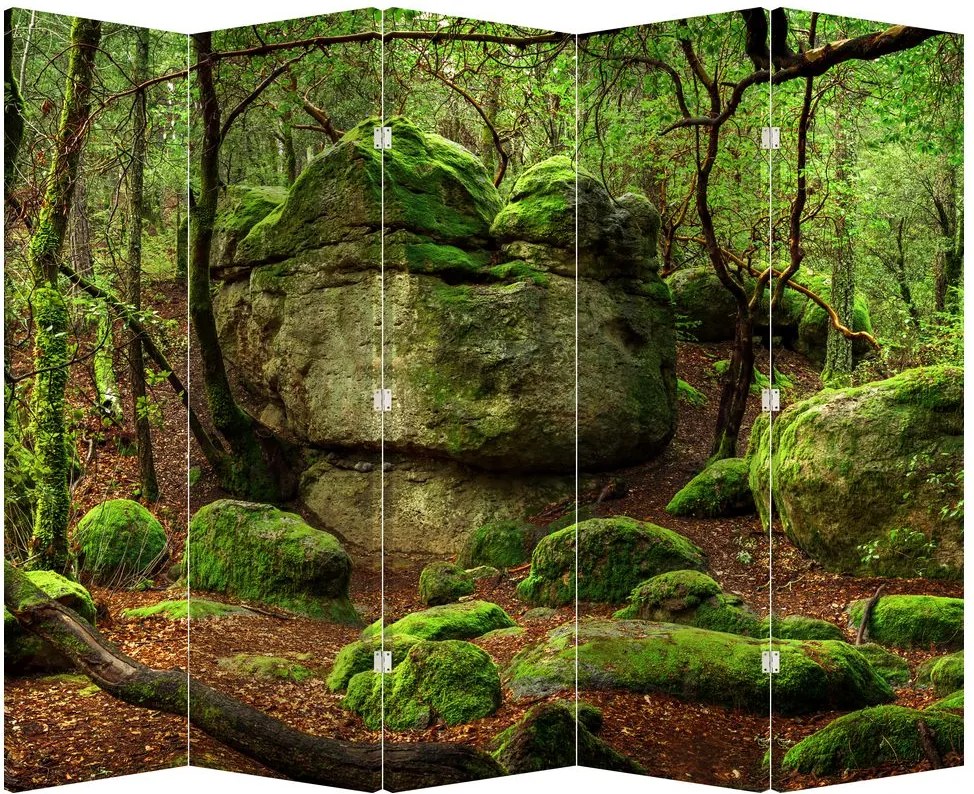 Paraván - Kúzelný les (210x170 cm)