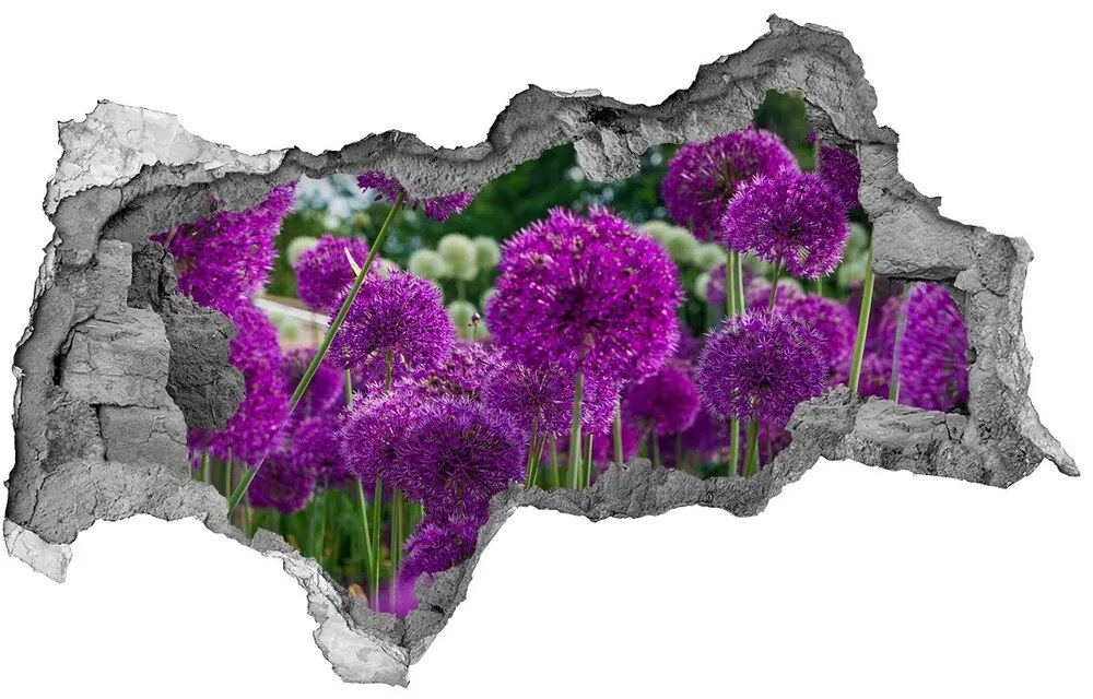 Nálepka 3D diera samolepiaca Kvety cesnak nd-b-99930087